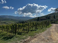 Walking path through vineyard down to town of Greve in Chianti (15min)