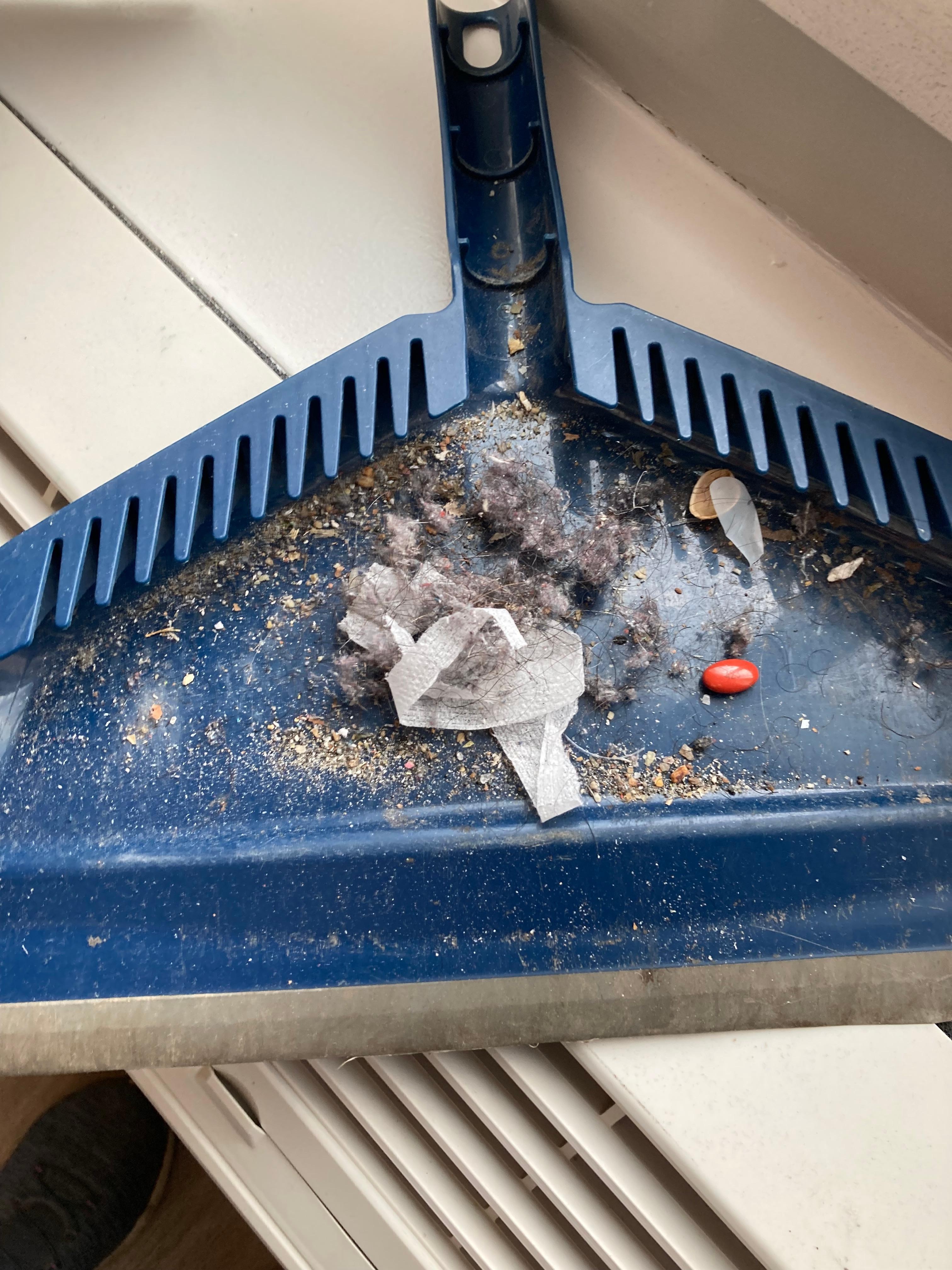 This was the dustpan once I finished sweeping the room