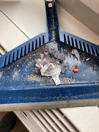 This was the dustpan once I finished sweeping the room