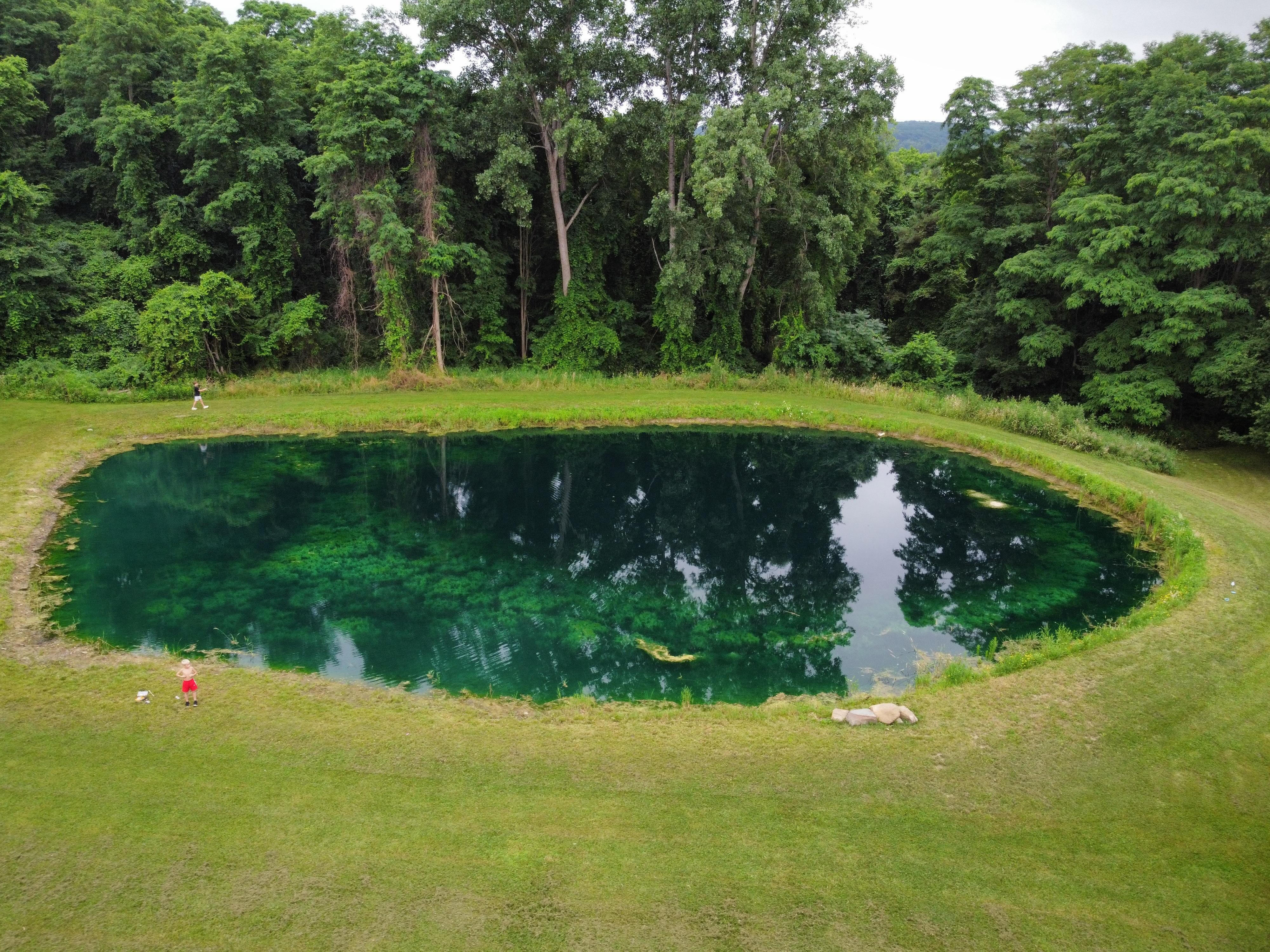 Pond 