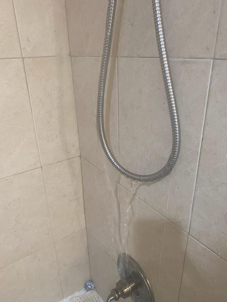 Broken and leaking shower hose