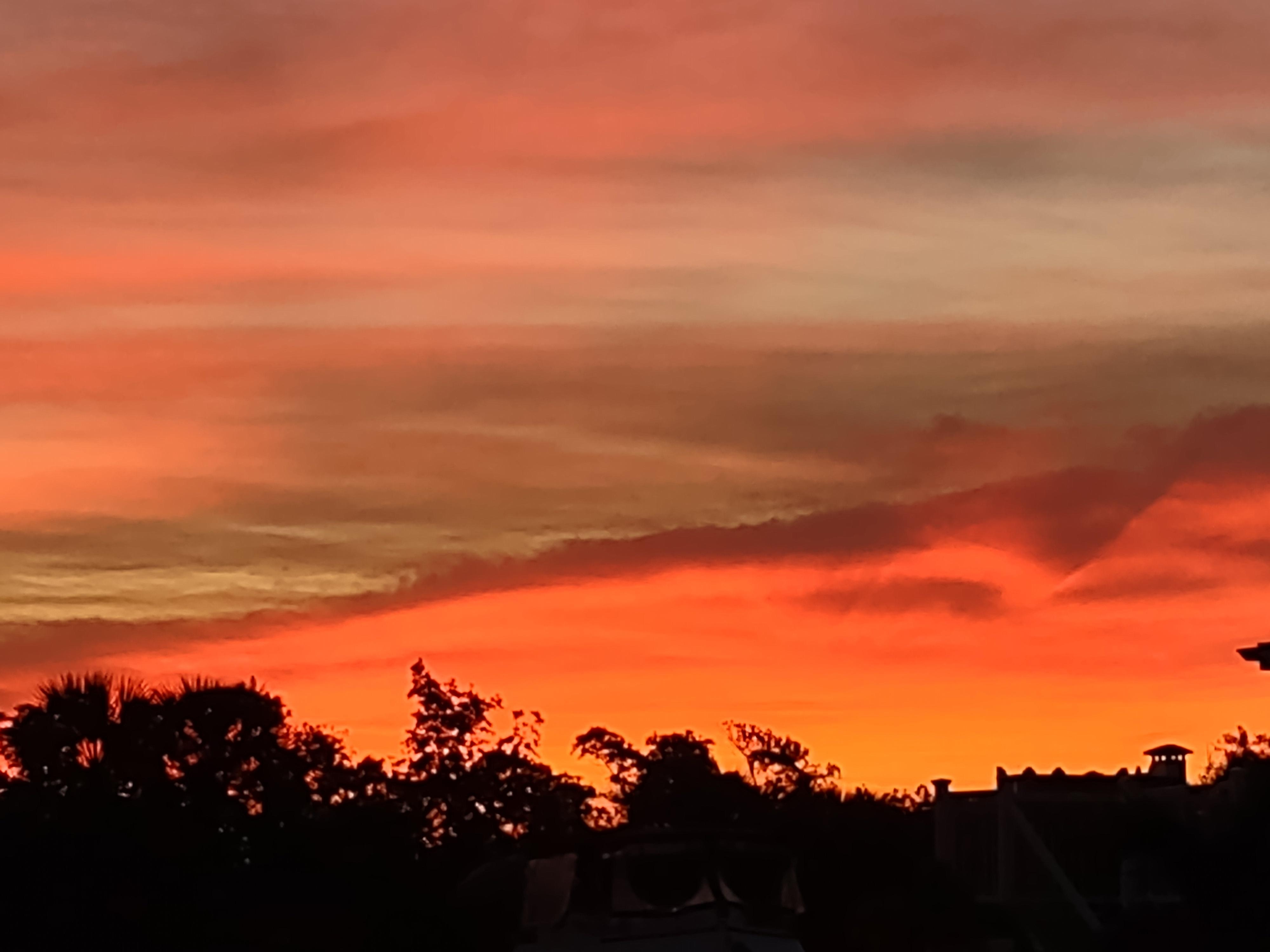 Sunrise, looking East, behind, from the facility