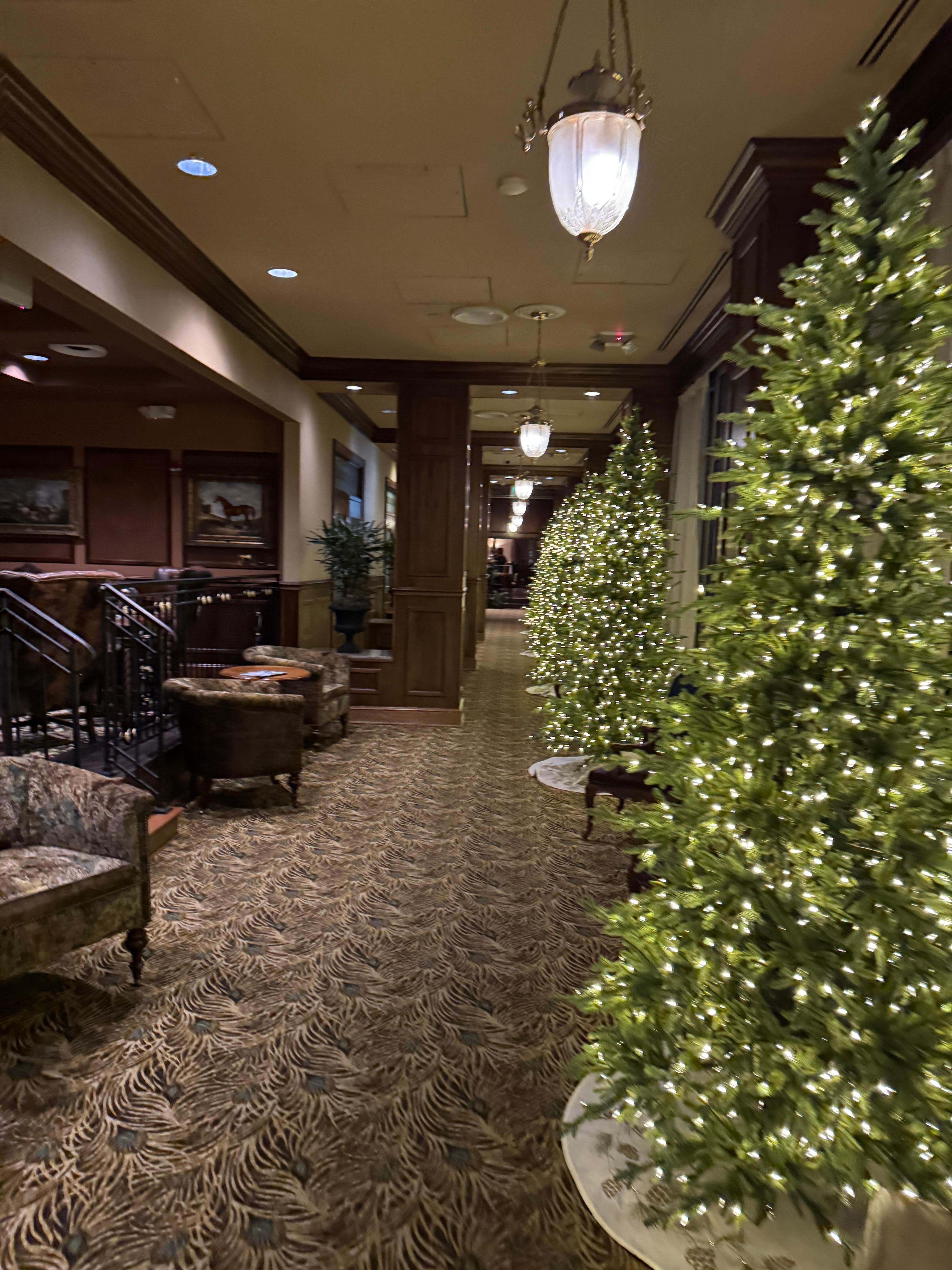 Christmas time 2024. My second stay there I believe. 