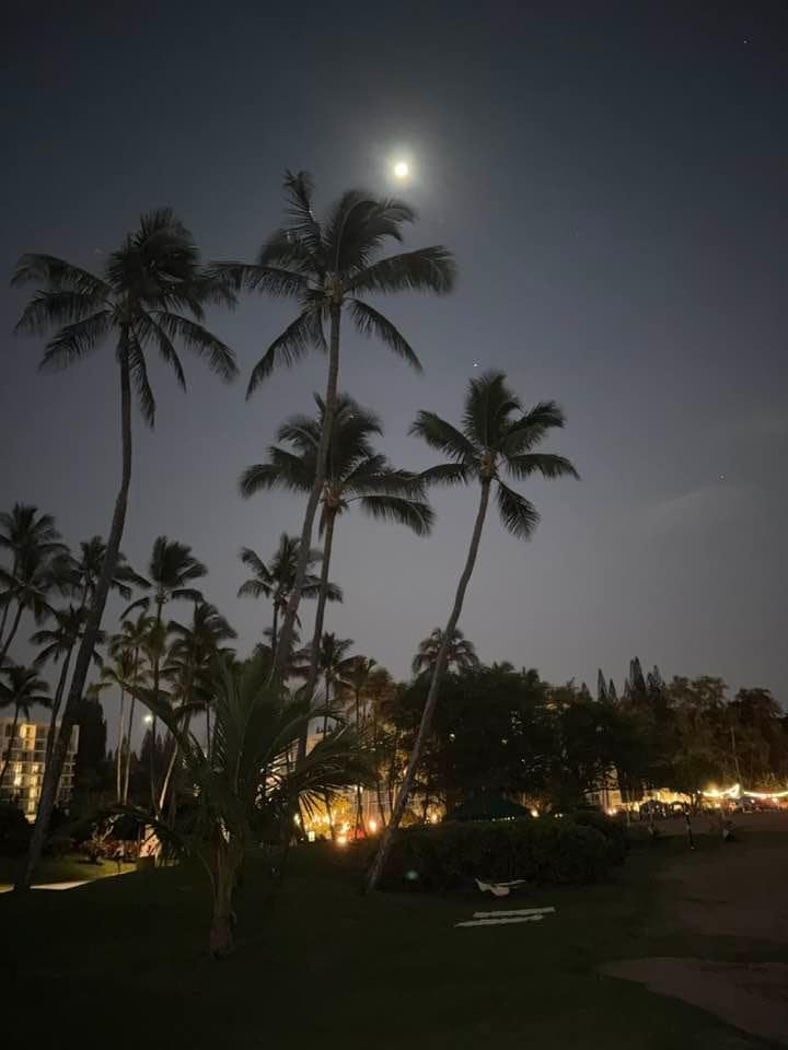 Night time at the beach next to the resort.