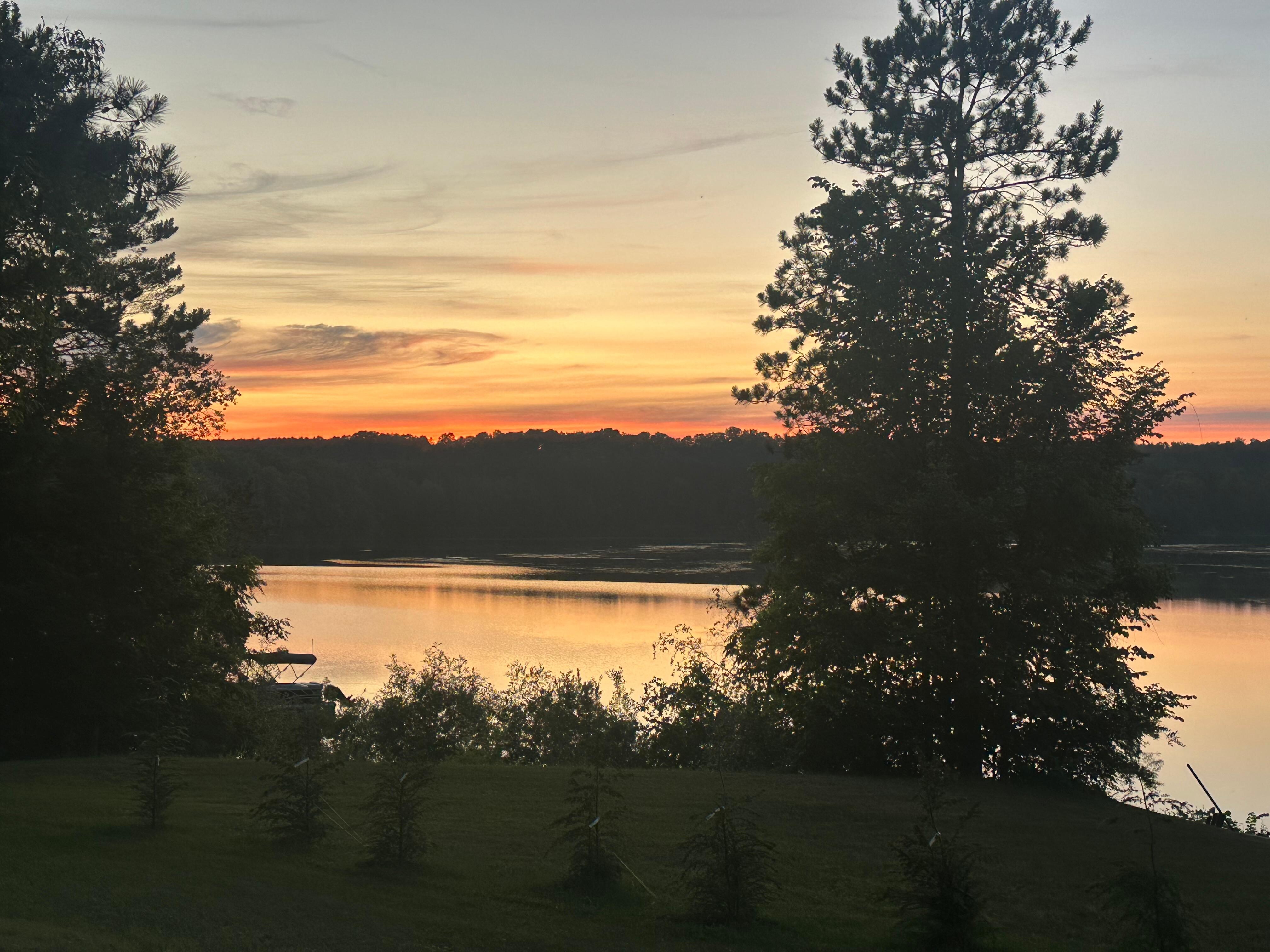 Evening sunset