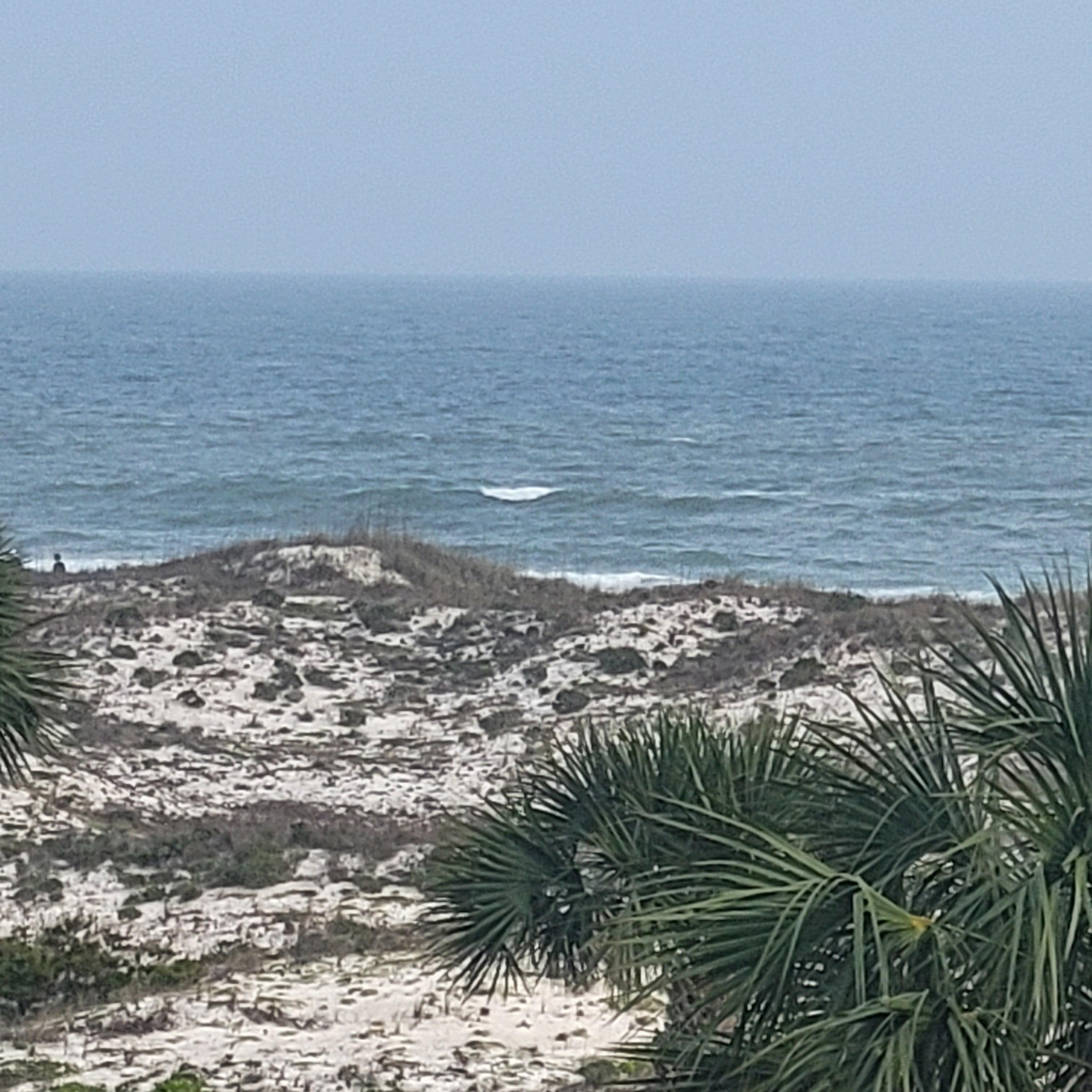 View from balcony