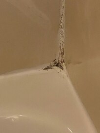 more mold in shower