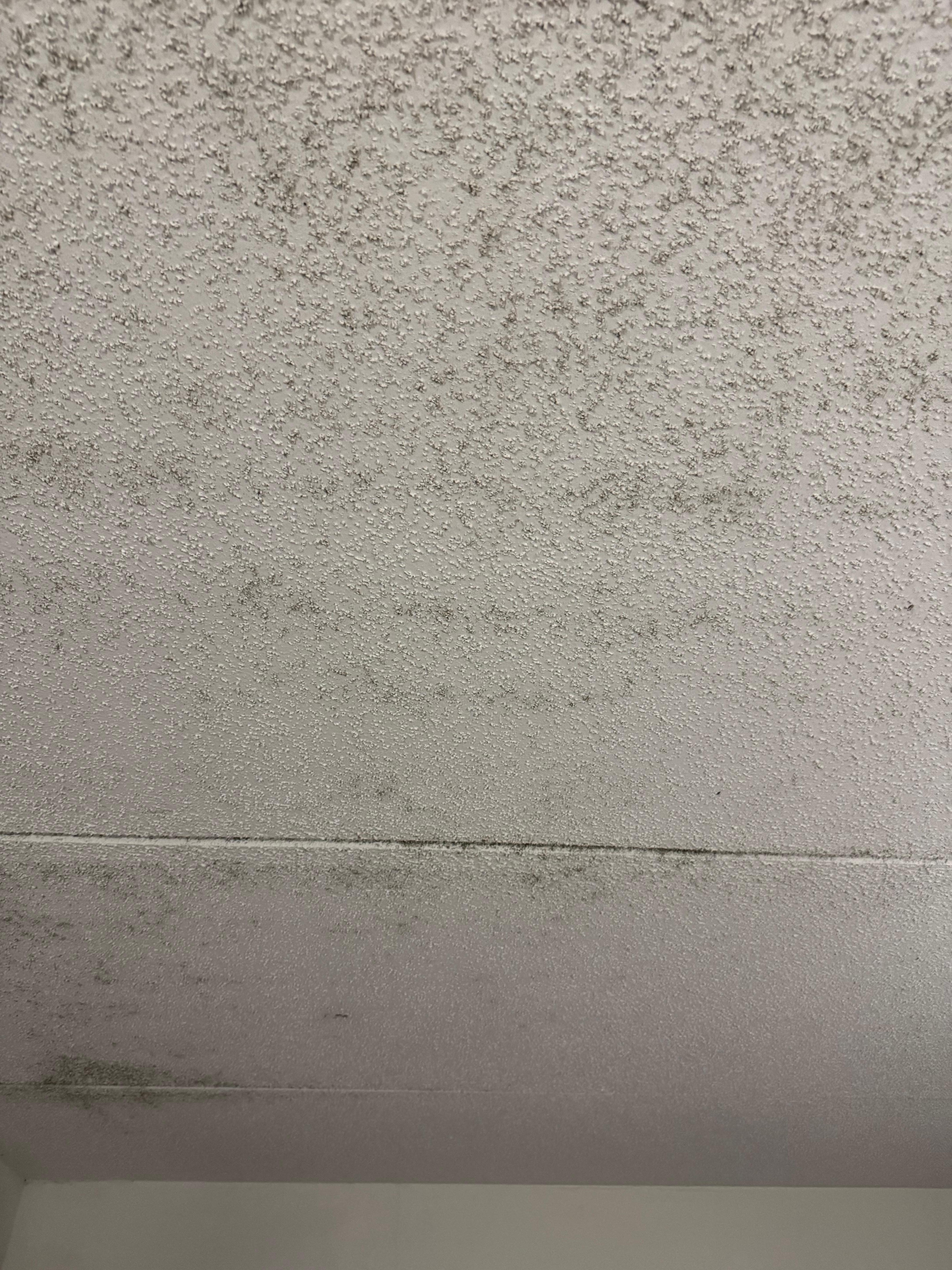 Mold