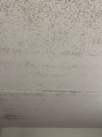 Mold