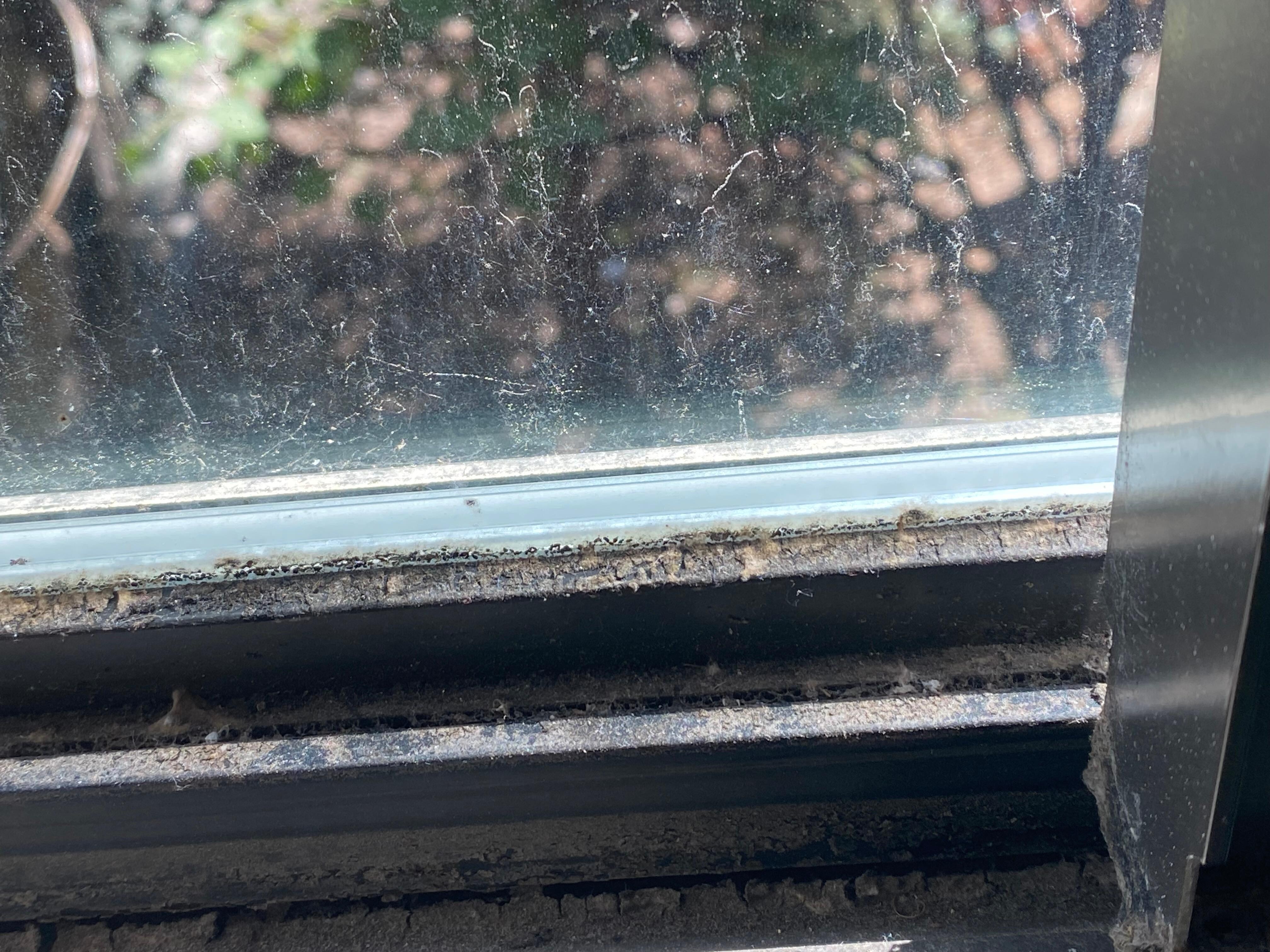 Filthy window sills