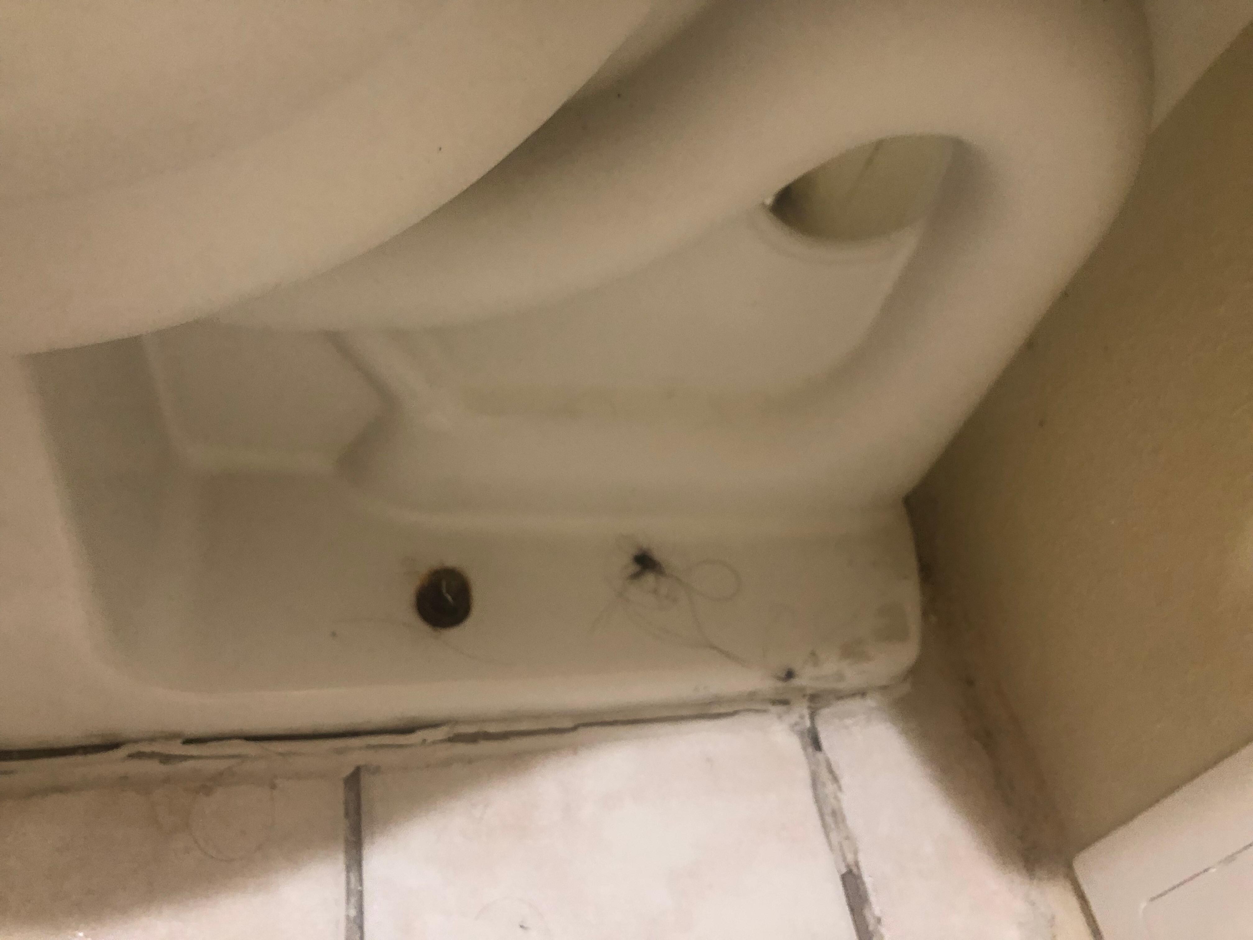 Someone’s dirty hair on the floor behind the toilet it hadn’t been cleaned or