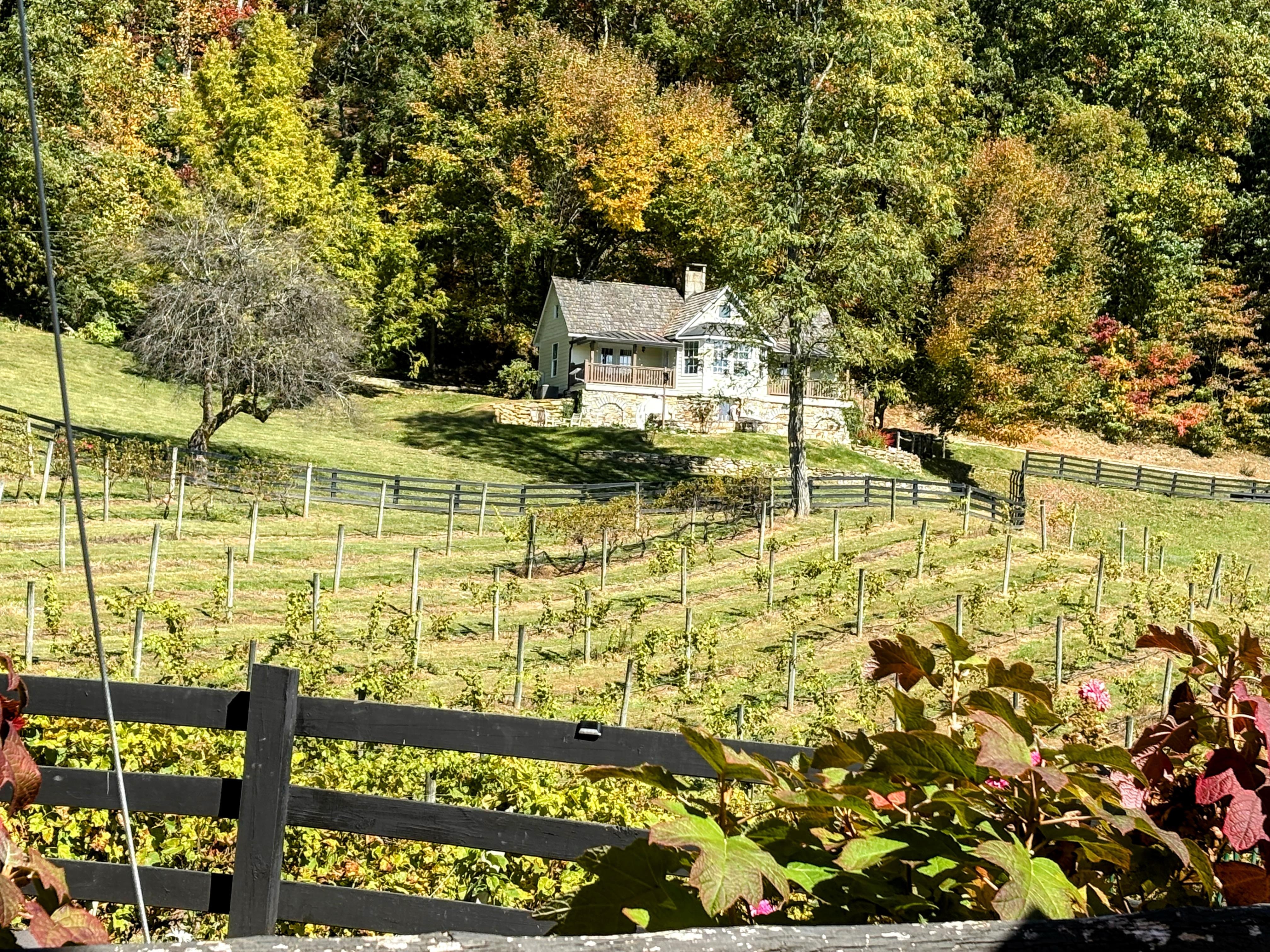 Nearby High Holly Vineyard. Wonderful wine and food!