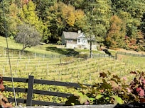 Nearby High Holly Vineyard. Wonderful wine and food!