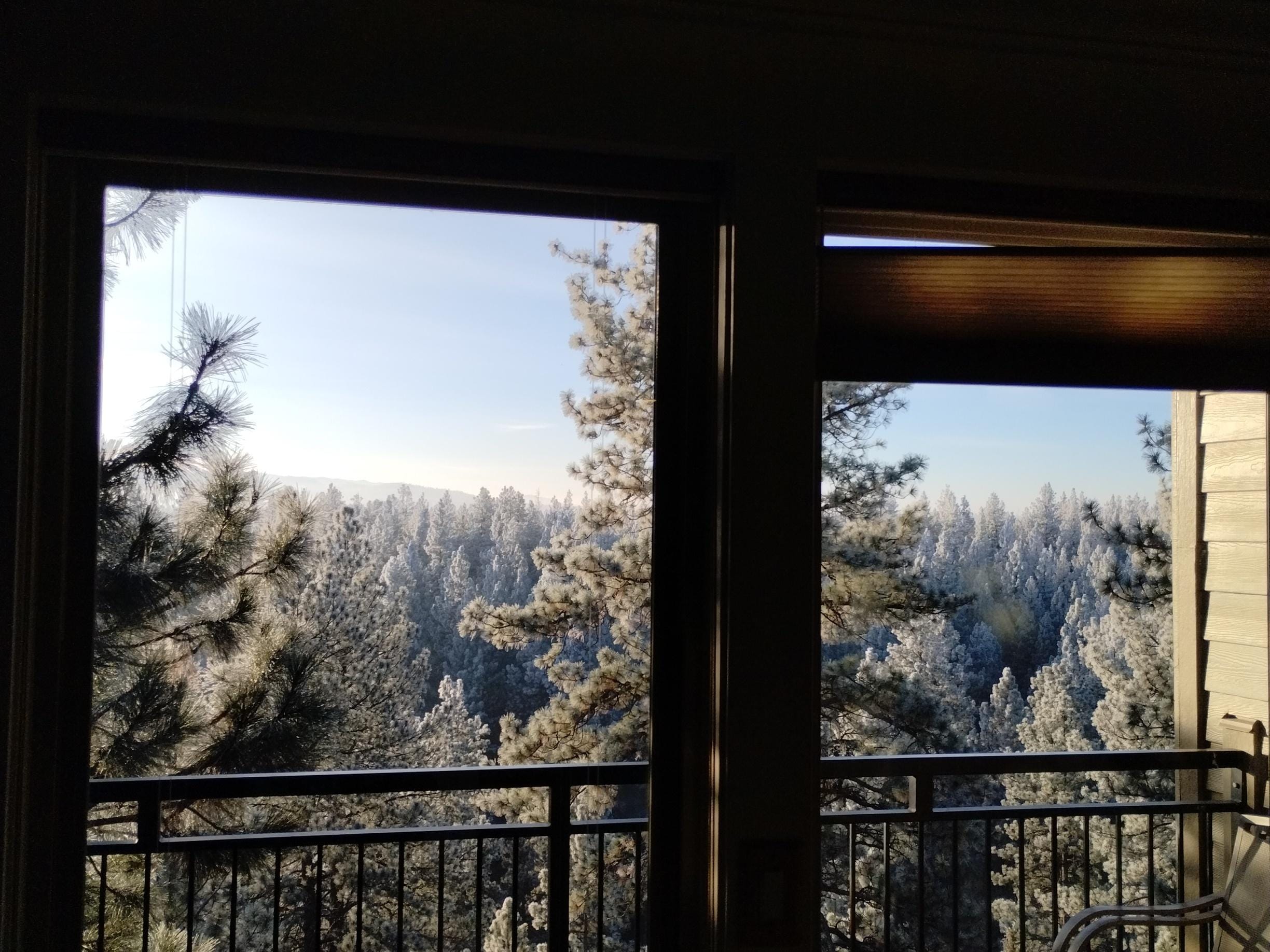 Looking out from the living room. It was a little chili this year...but made for these nice frosty trees