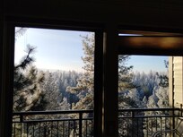 Looking out from the living room. It was a little chili this year...but made for these nice frosty trees