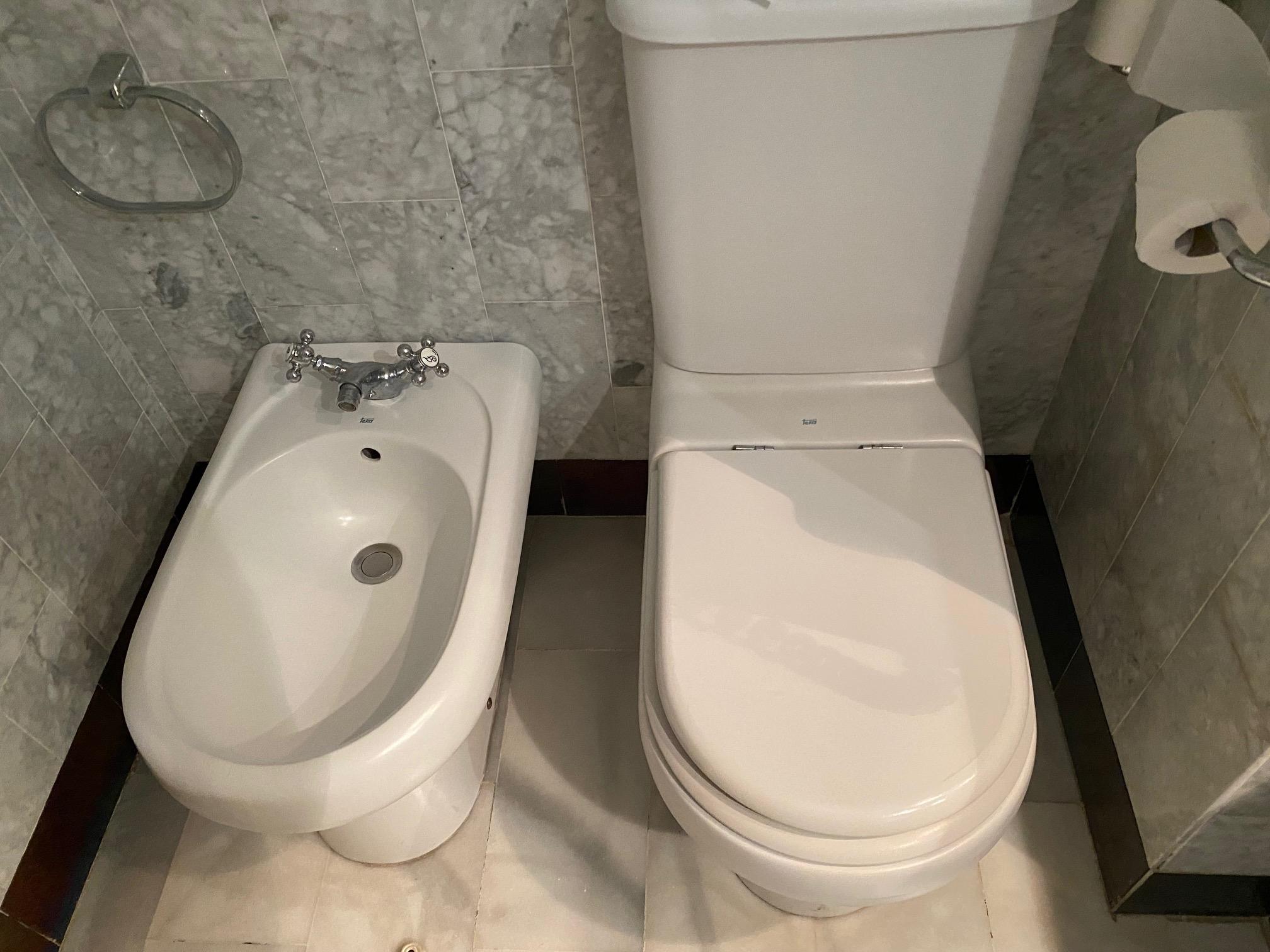 Old toilet and bidet