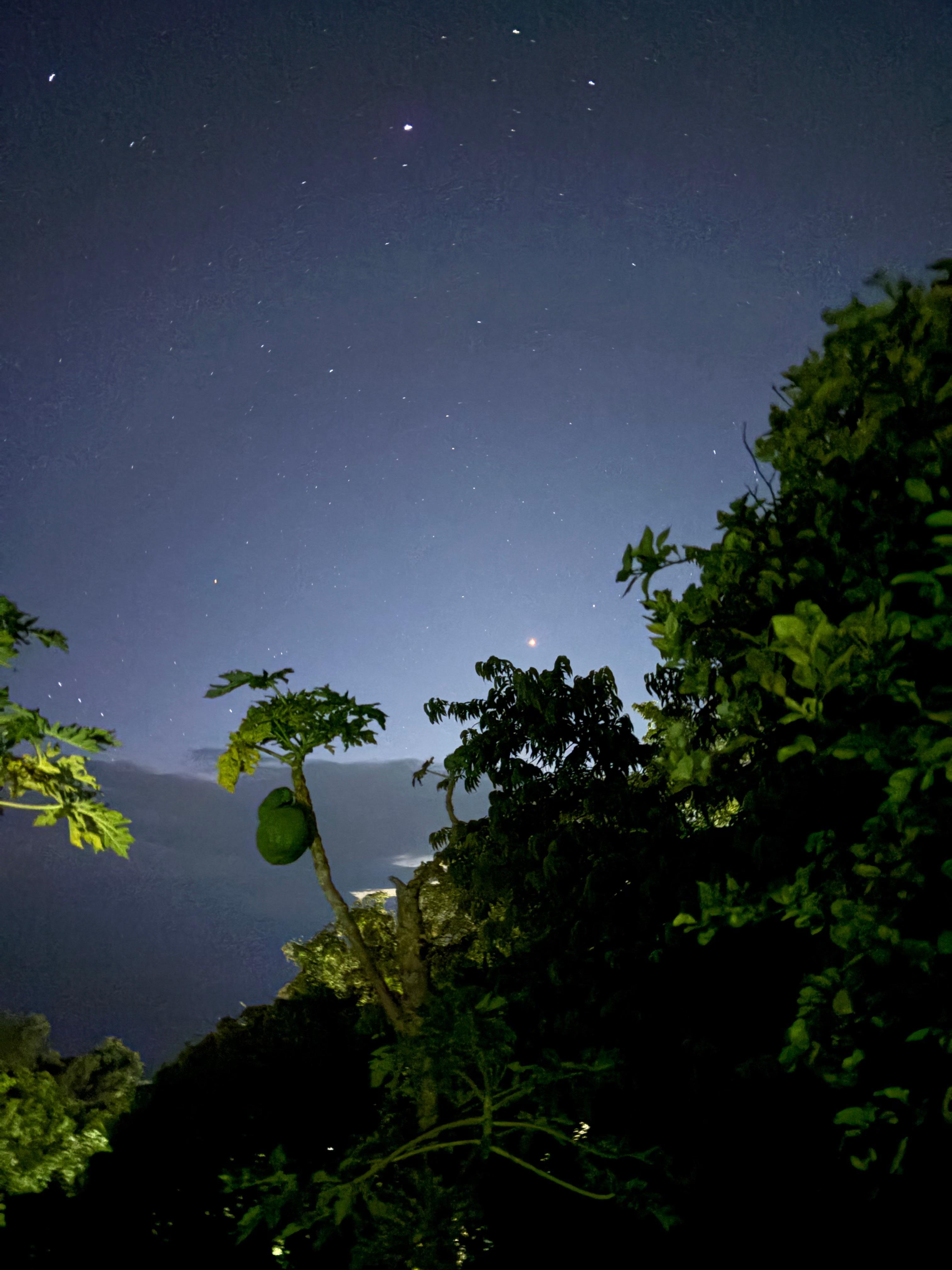  Night sky from out back