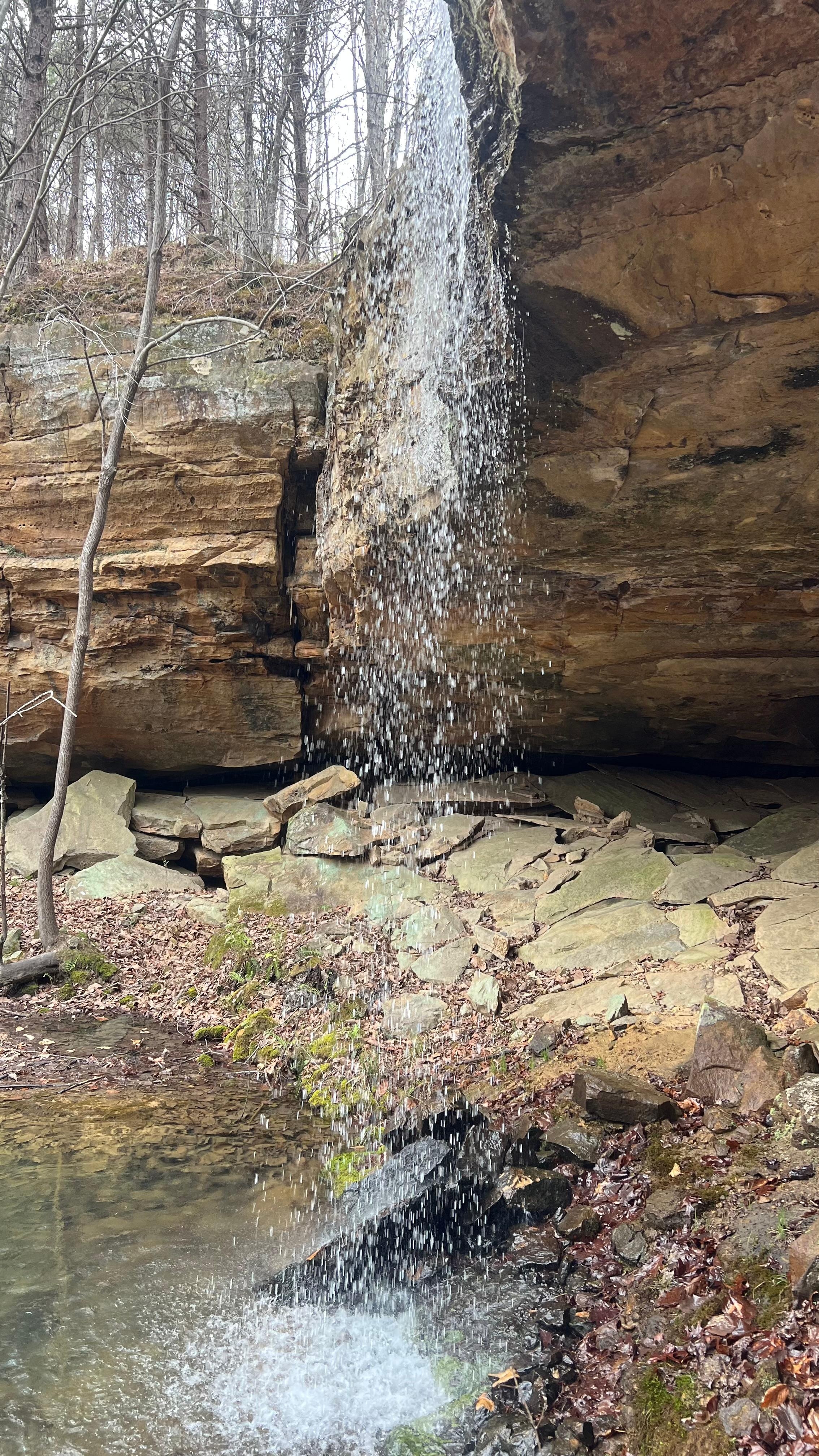 The waterfall deep on the property 