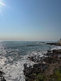 La côte sauvage