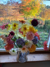 Beautiful fresh flowers