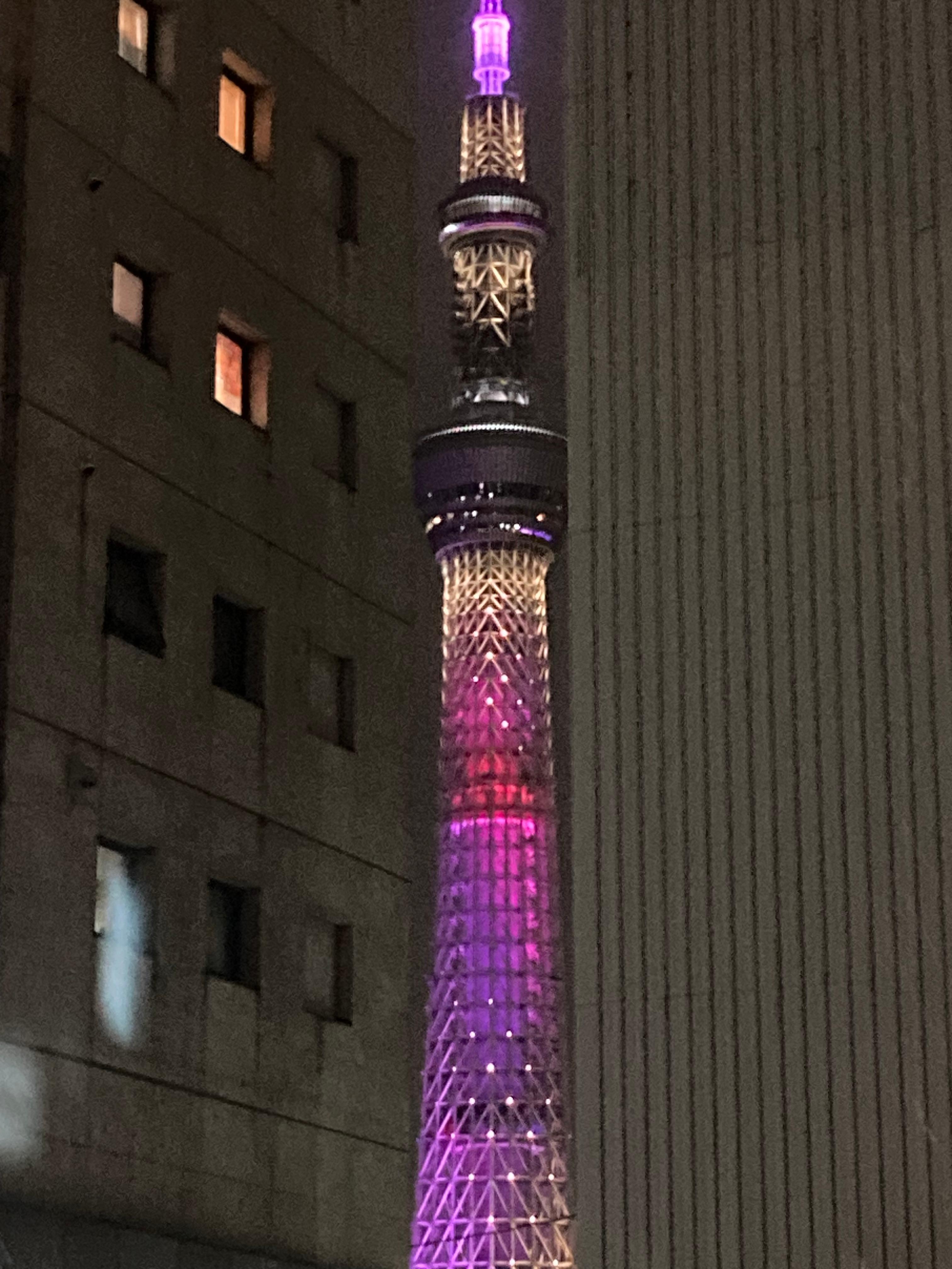 スカイツリーまで歩いて行ける距離