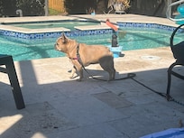 Great Sun at pool with covered patio