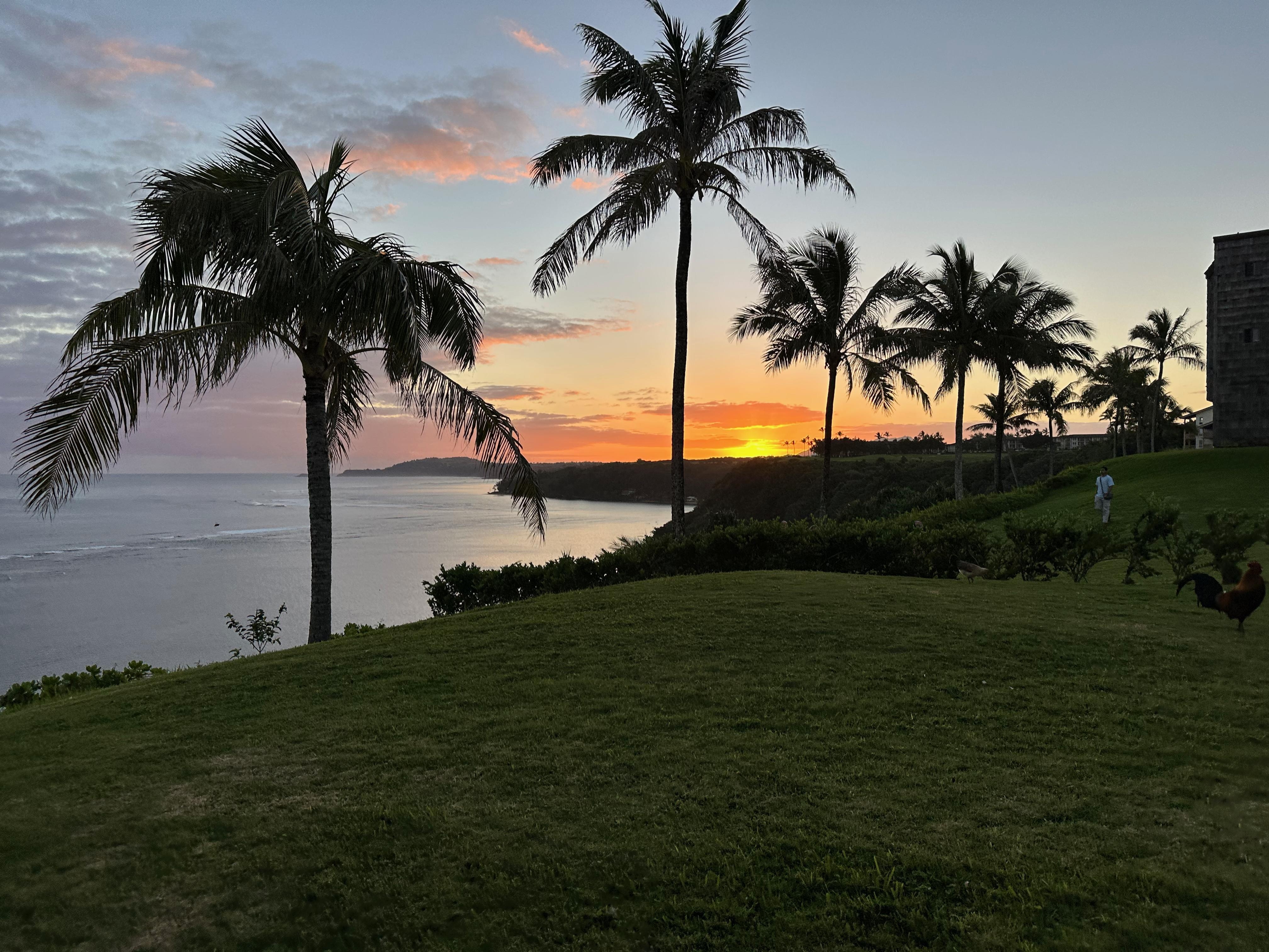 sunrise.  Note the people on grassy area.  Some would sit down behind bushes out of the way, but others were standing and talking loudly.