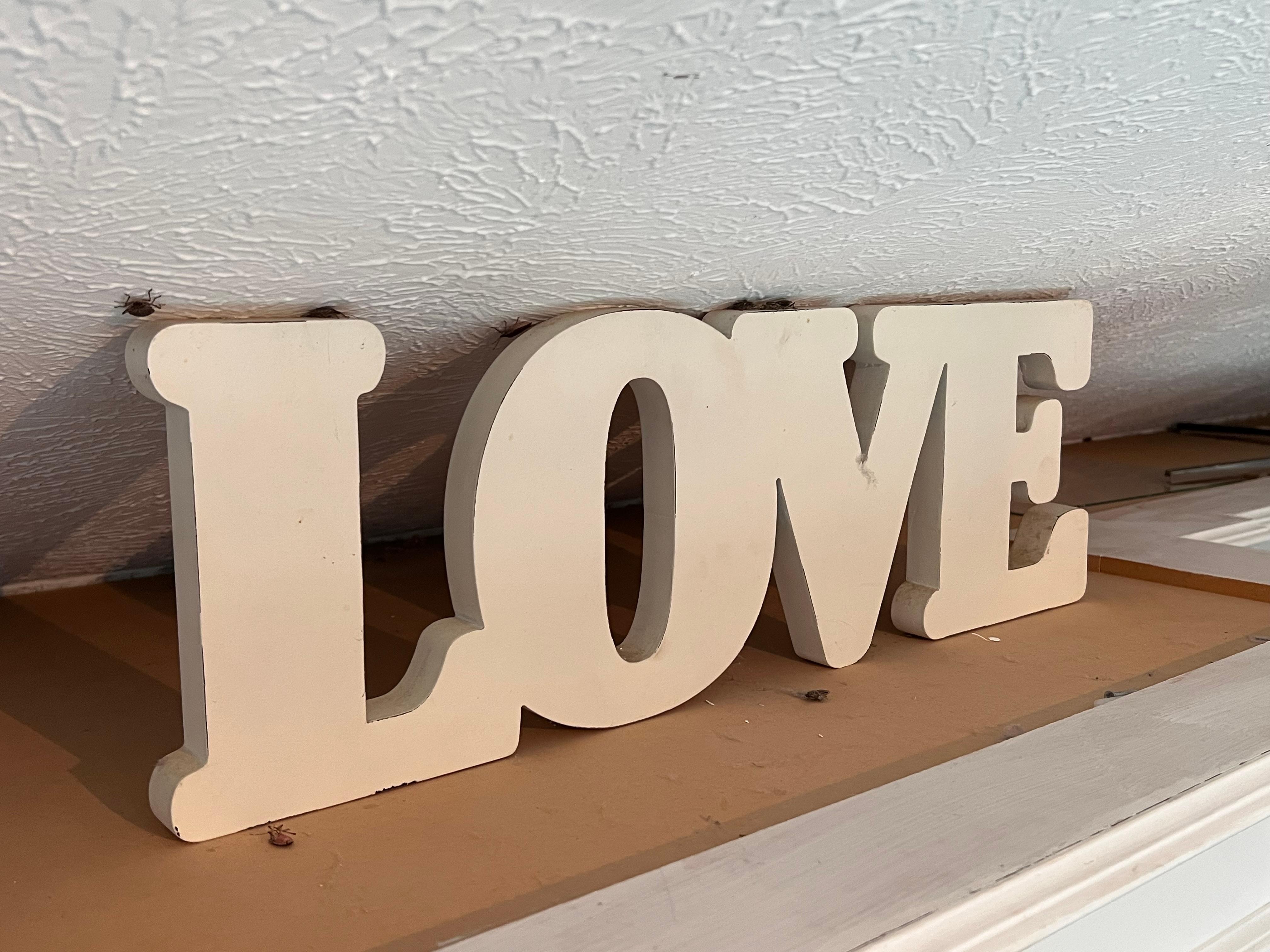 LOVE all the stink bugs!