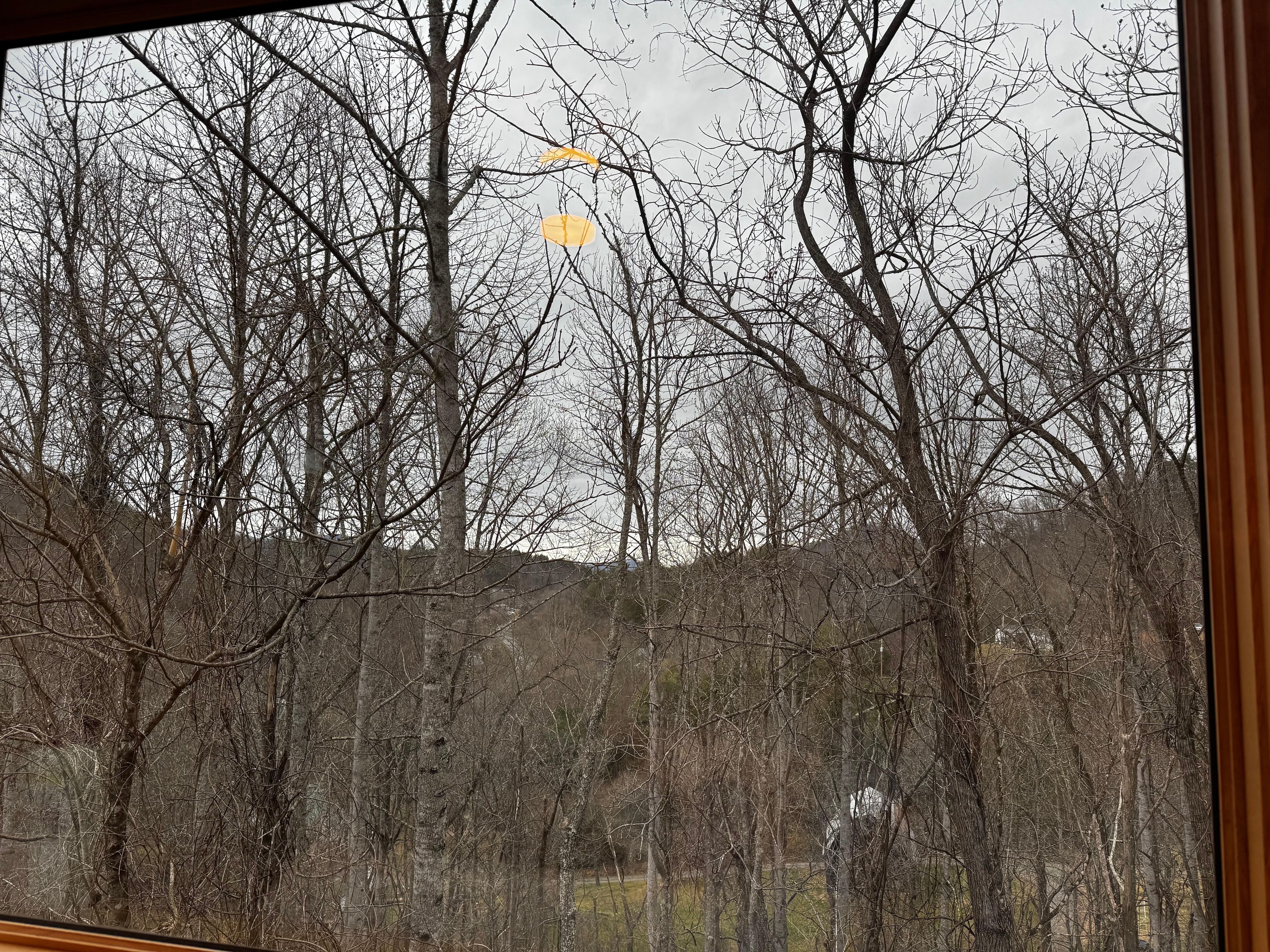 The view from the second bedroom!