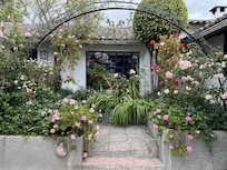 Some of the gardens amo g the rooms