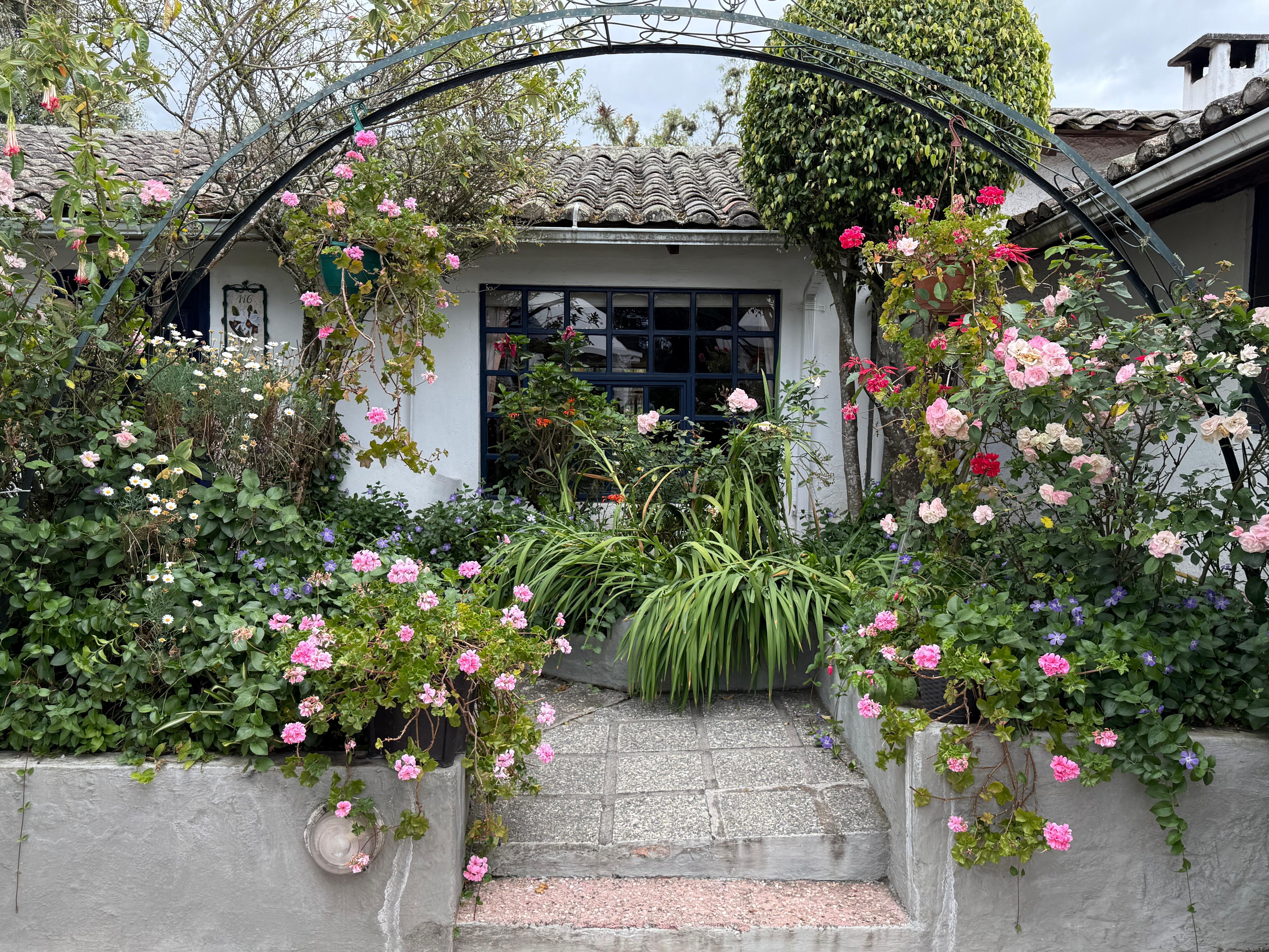 Some of the gardens amo g the rooms