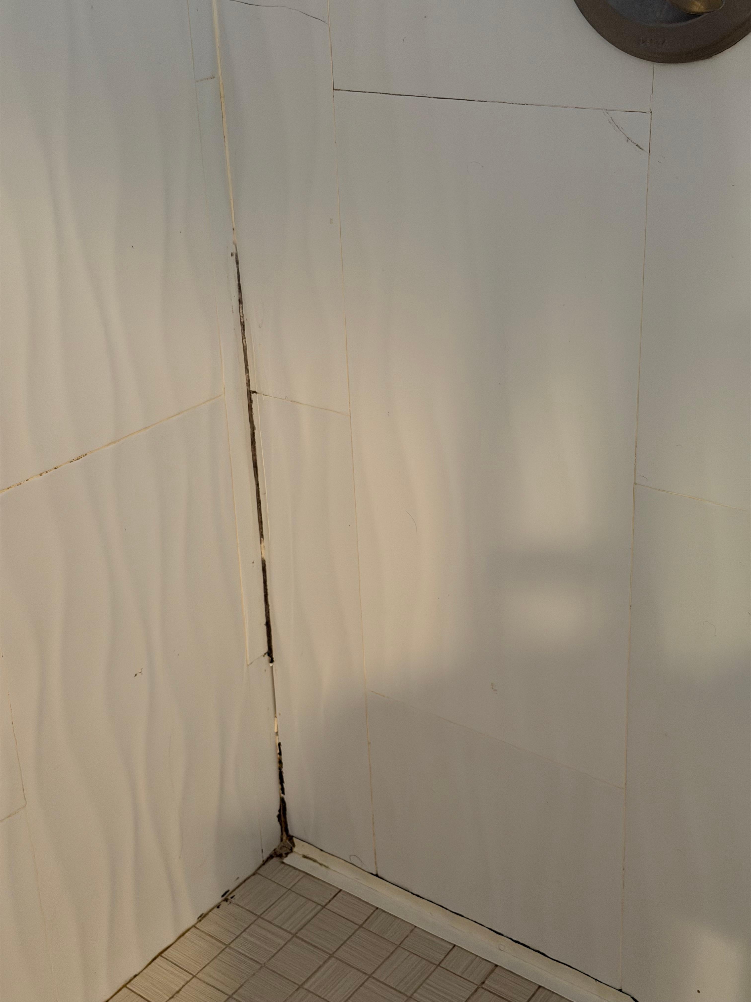 Dirty (moldy?) shower