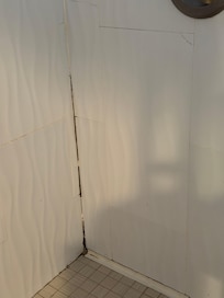 Dirty (moldy?) shower