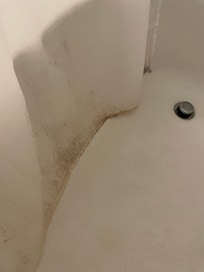 Moldy shower curtain