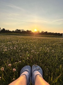 Taken from the back of the property