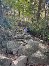 Youghigheny River Gorge