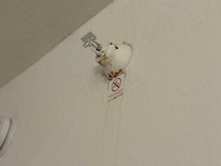 Rusty sprinkler