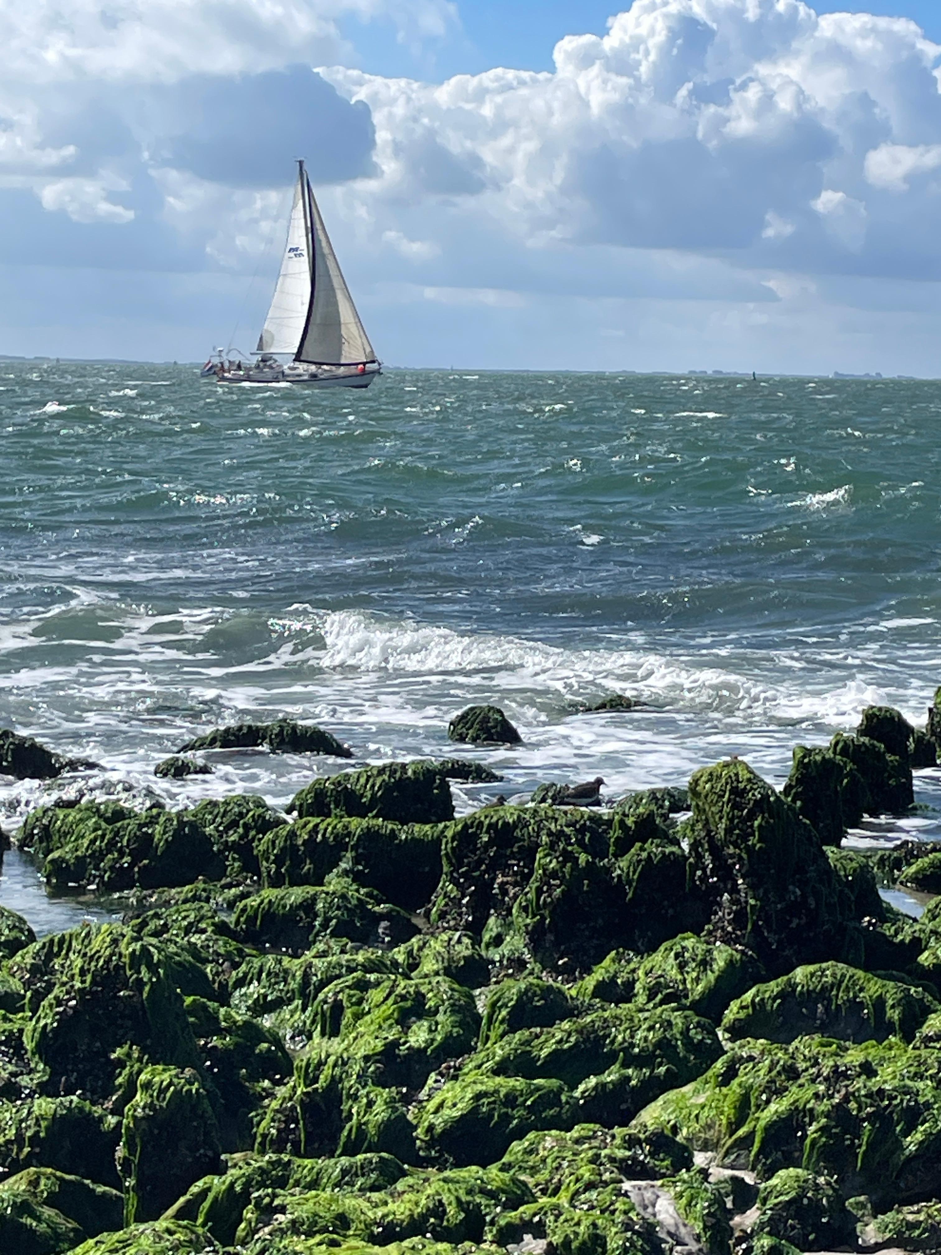 Zouterlande, ca. 6 km