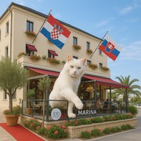 There is a cute cat at the hotel.