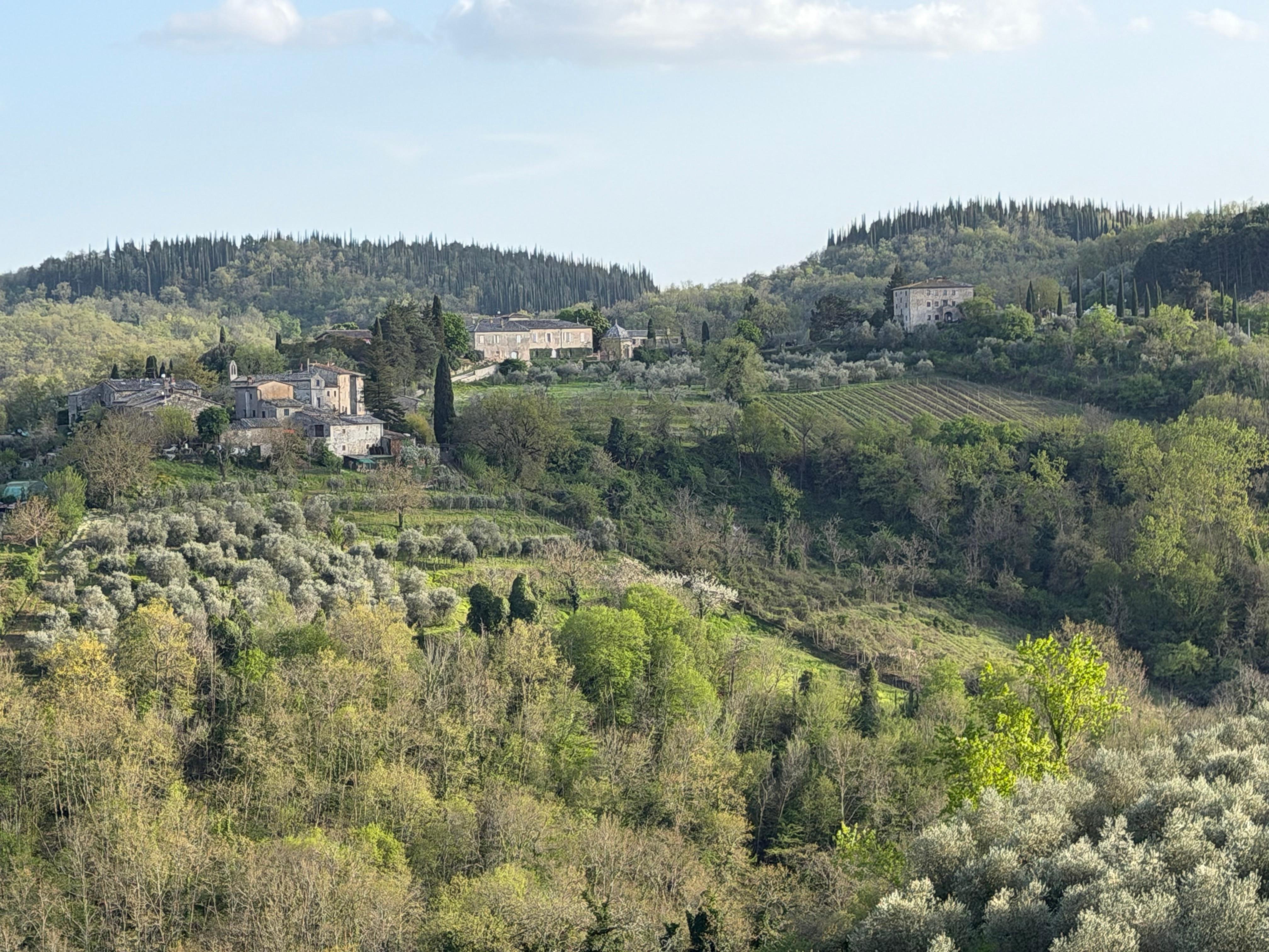 The views on my hike  were amazing