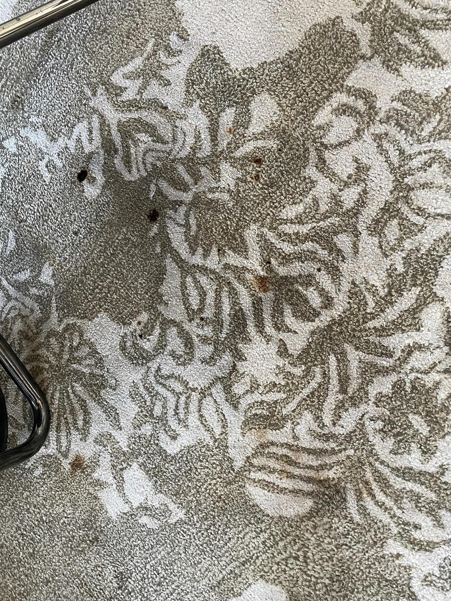 really stained rug in one room