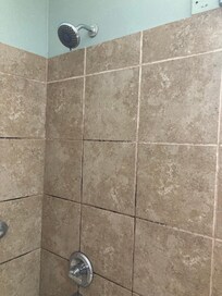 mold in shower. no shelf in shower to put soap nor hair products. Showerhead was not a handheld, could not get clean.