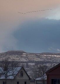 View of the mesa from the back porch with geese flying over