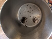 Two dead mice in a stock pot in kitchen cabinet. Bodies full of bugs.