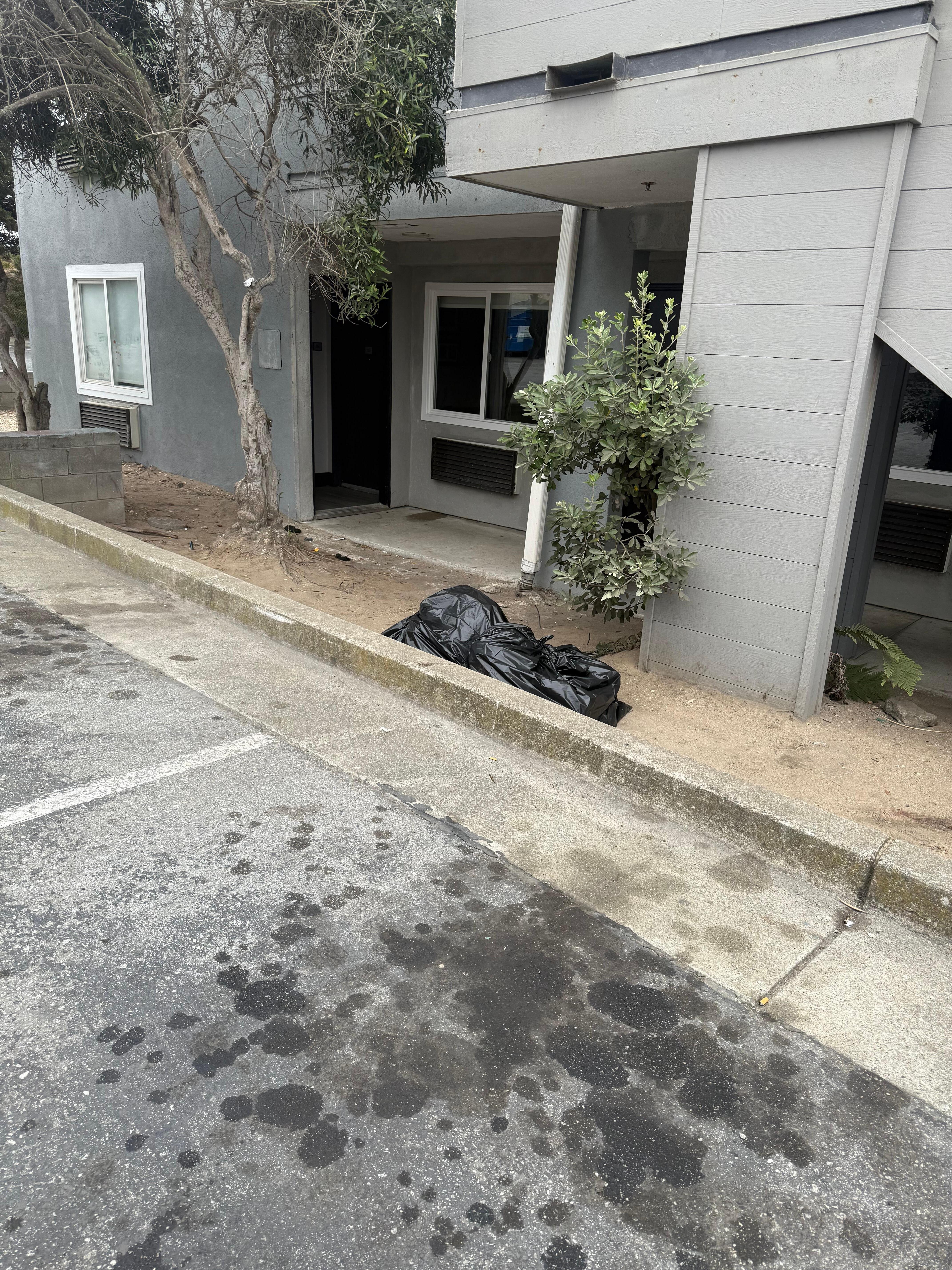 Garbage bags left by parking 