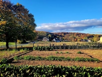 Stepping out the door of Frush Farm B&B, looking past their garden.