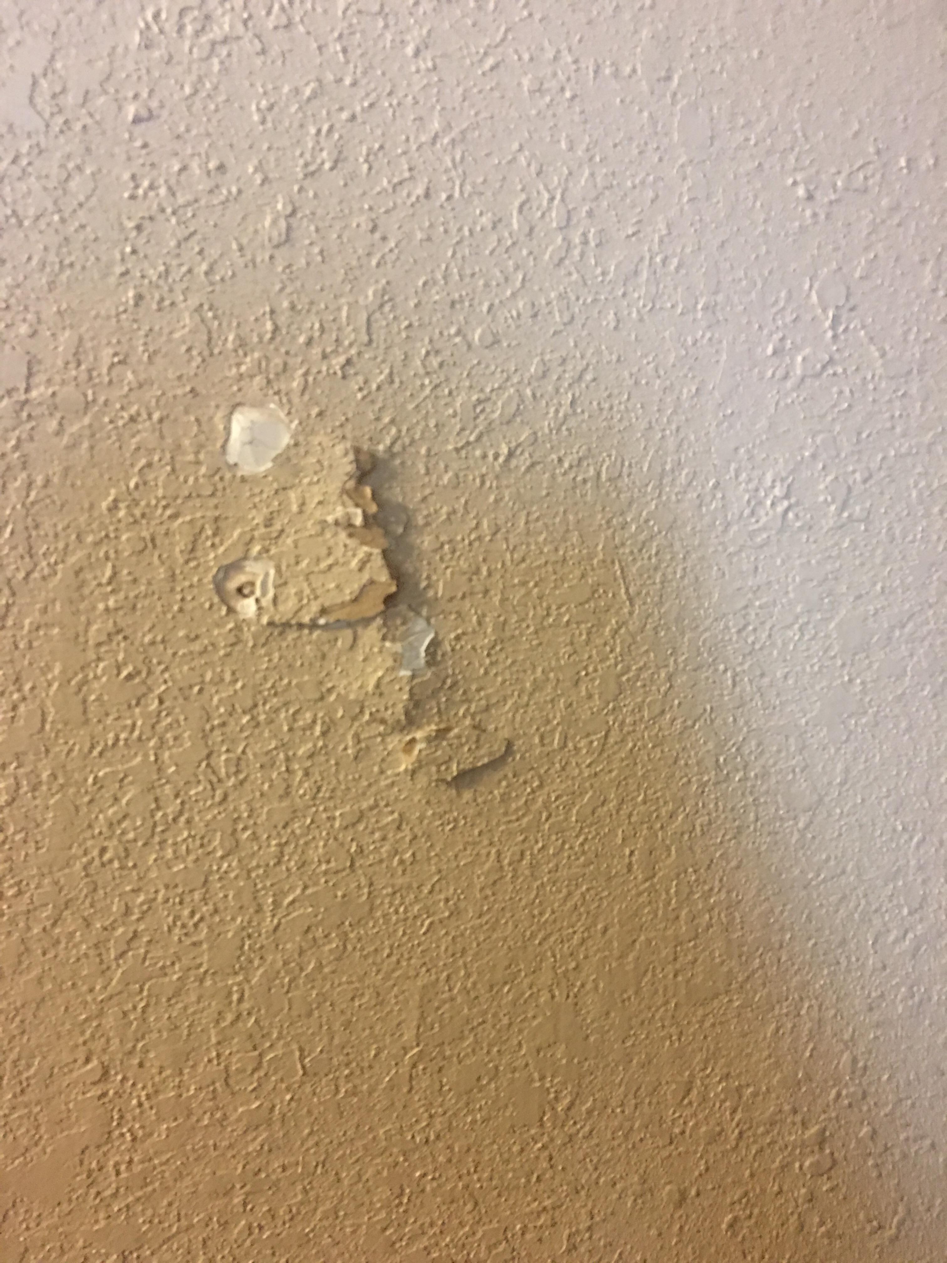 Mildew in bathroom