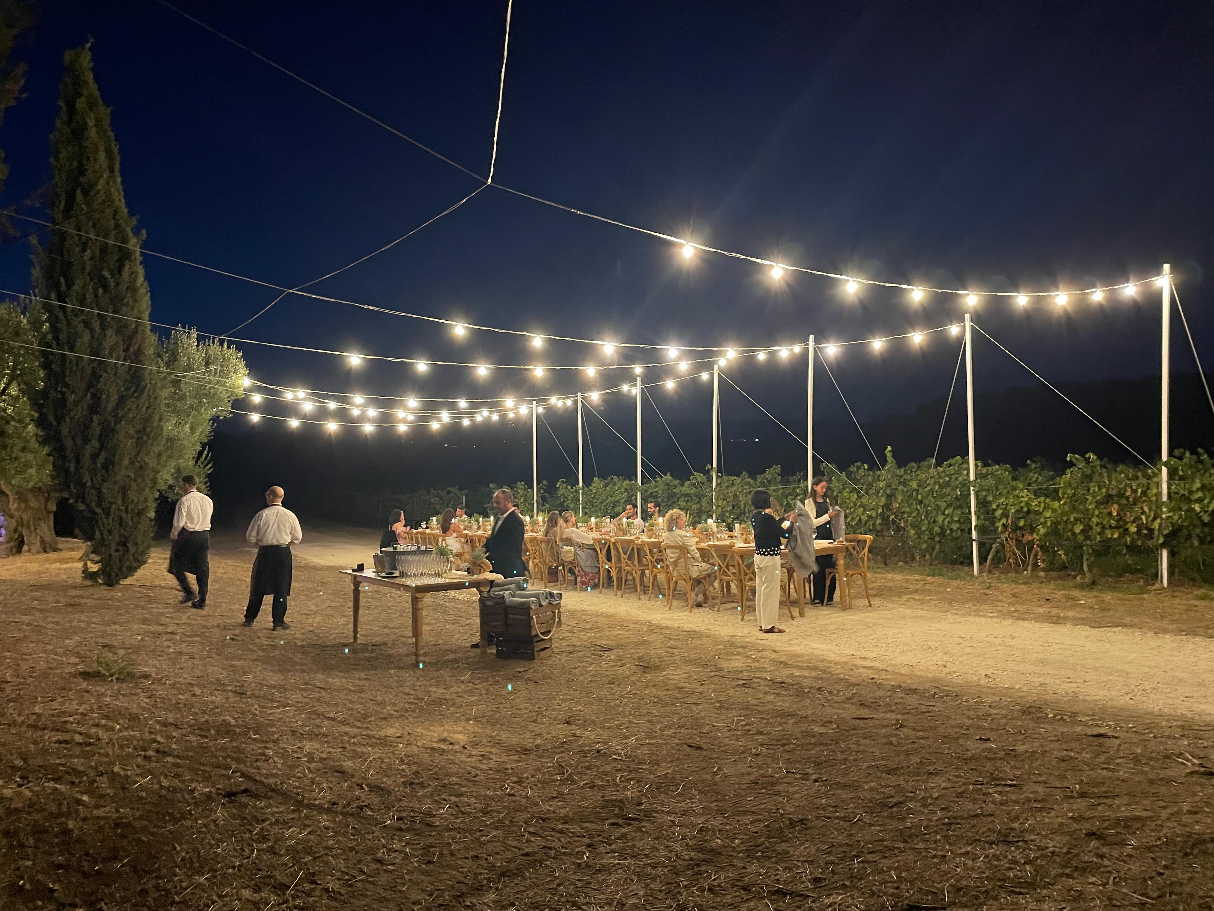 Dîner au milieu des vignes!