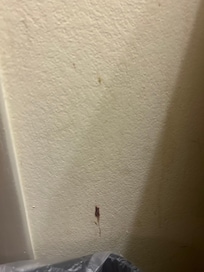 One of the clearly dirty walls