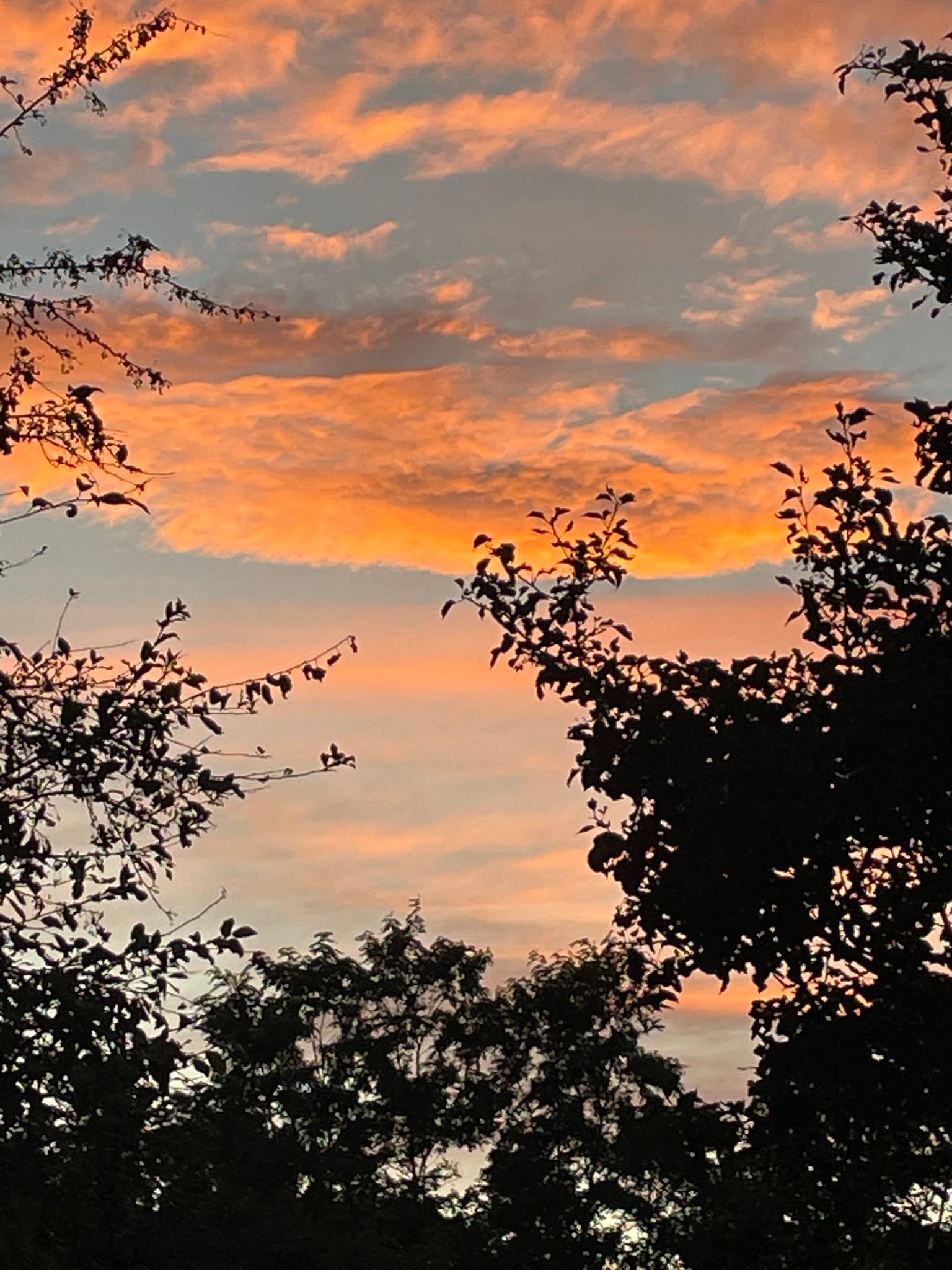 Un soir derrière l'hotel!  Un ciel magnifique!!